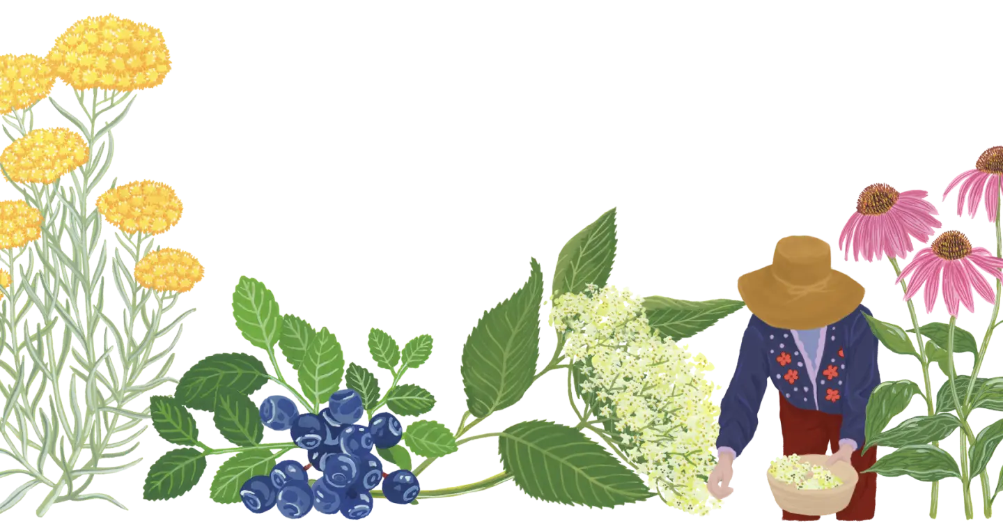 frise-preserver-resister-transmettre