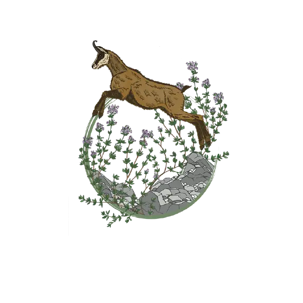 massif-coeur-des-alpes