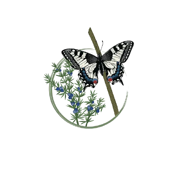 massif-grandes-causses