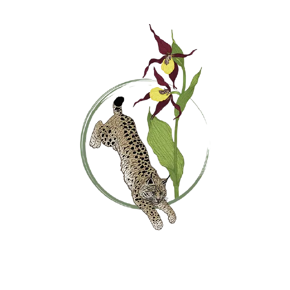 massif-jura-alpes-nord