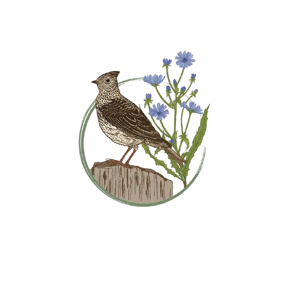 massif-plaines-et-bocages