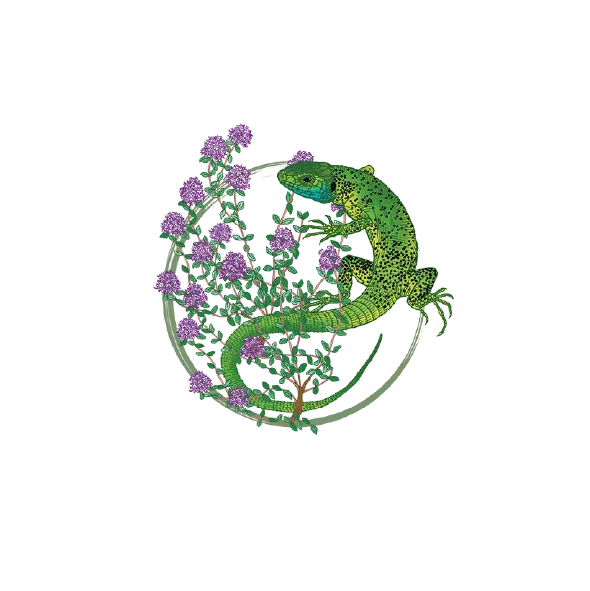 massif-velay-vivarais