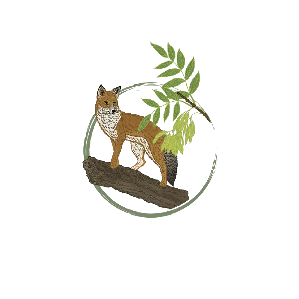 massif-vosges-ardennes