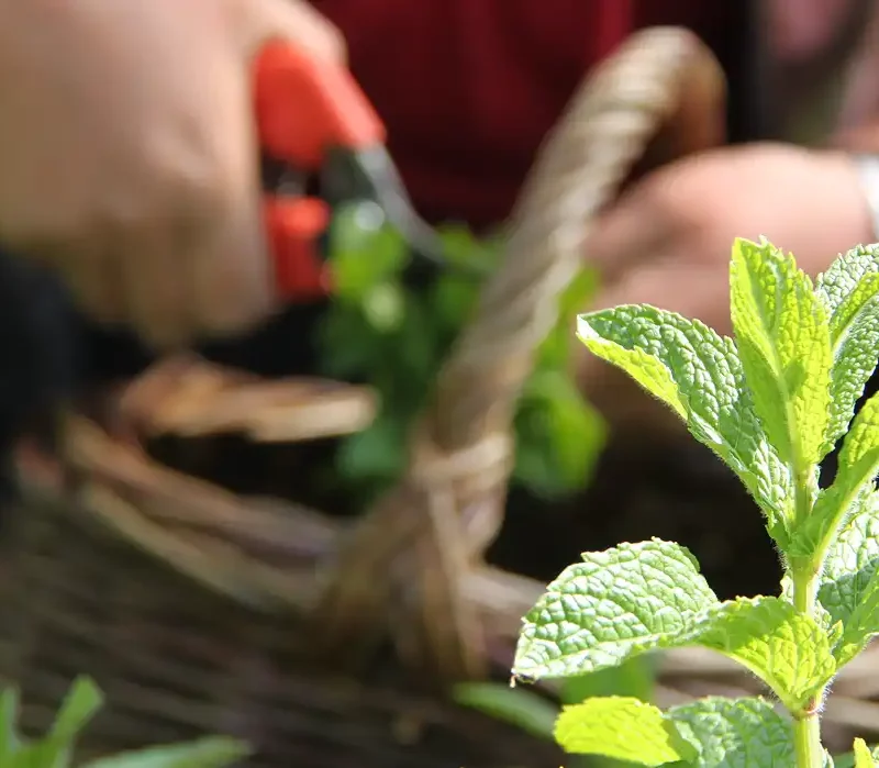 transmettre-preserver-syndicat-simples