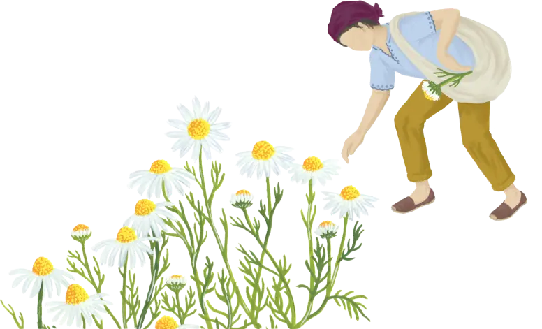 ramassage-fleurs-inverse-2