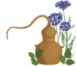 alambic et plantes 2