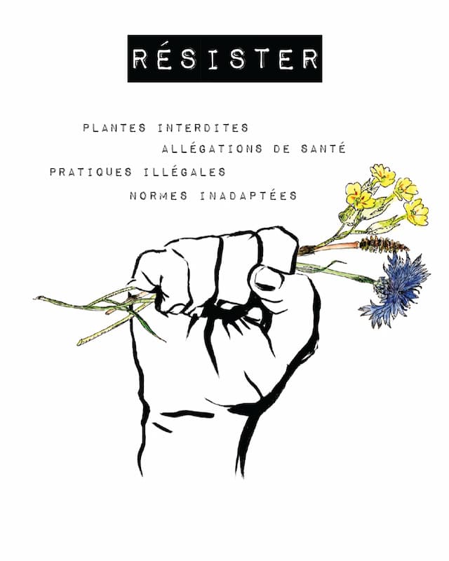 carte-postale-simples-2