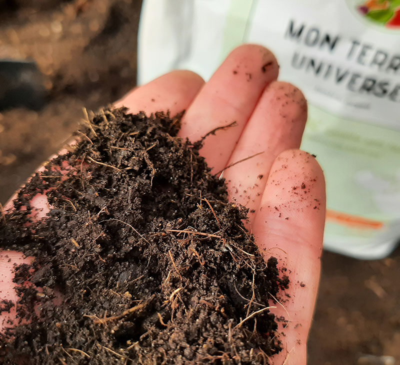 terreau-sans-tourbe